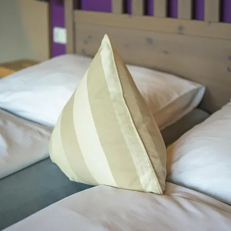 Hotel Roj &